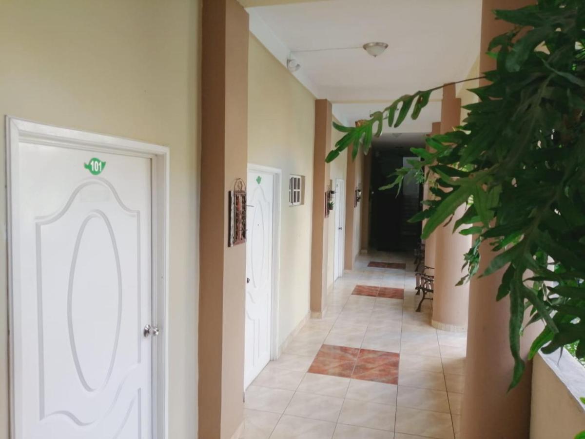 Hotel Plaza Floresta 圣米格尔 外观 照片